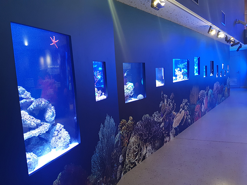 Reef Gallery