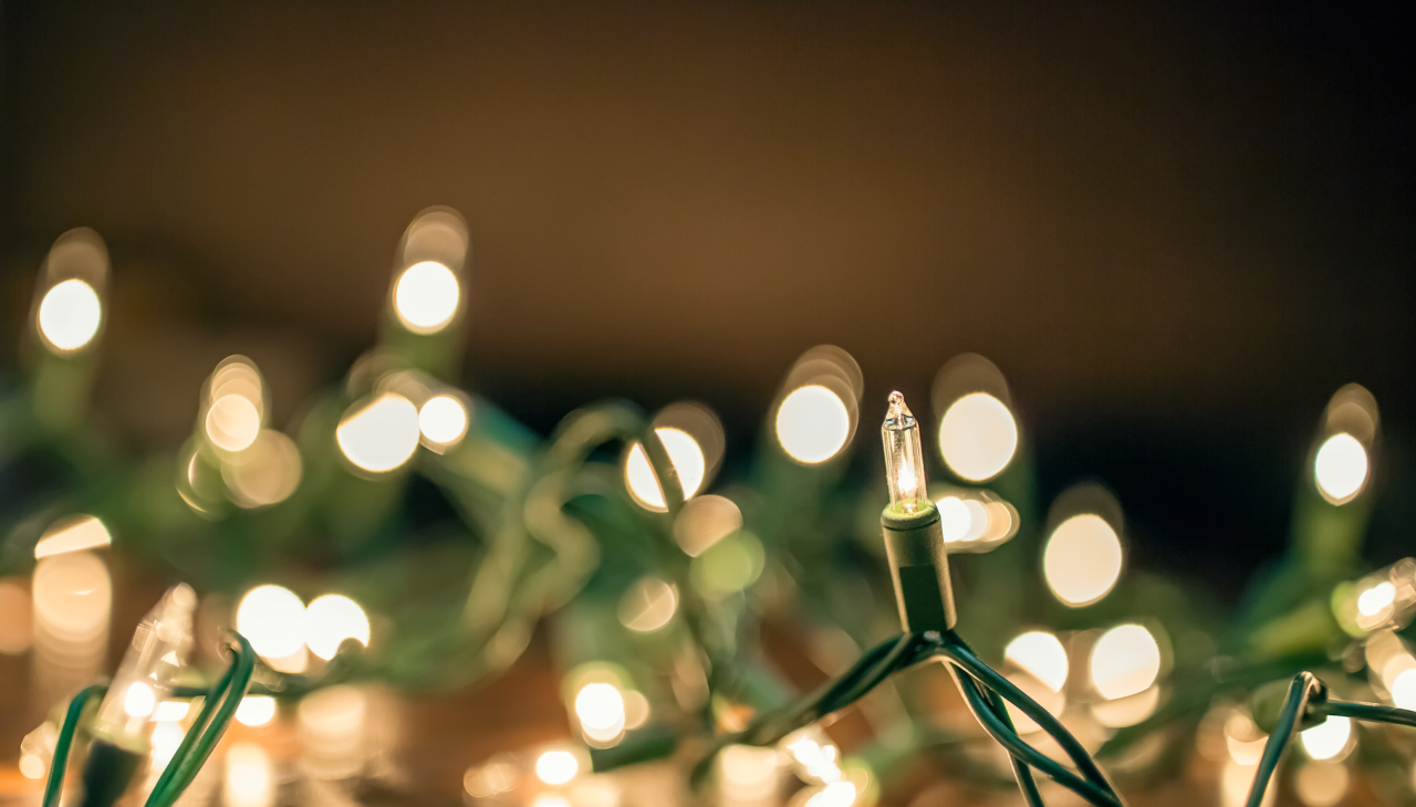 The lights of Christmas shine on Exmouth