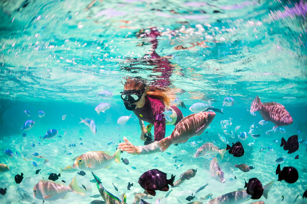 Things To Do In Coral Bay Ningaloo Reef 2026 Dundee Adventure Travel Things To Do In Coral Bay Ningaloo Reef 2026 Dundee Adventure Travel