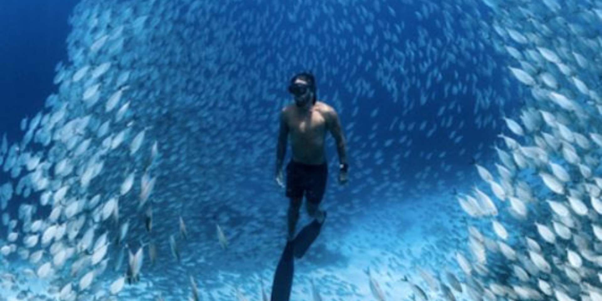 10th anniversary of Ocean Film Festival World Tour