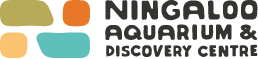 Ningaloo Aquarium